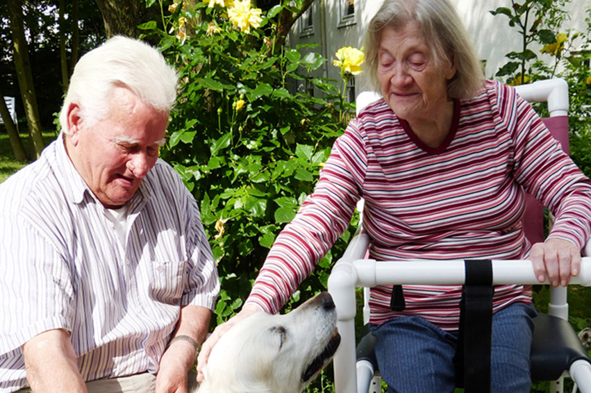 Fachpflegezentrum Paul-Fleming Haus GmbH - Pflege