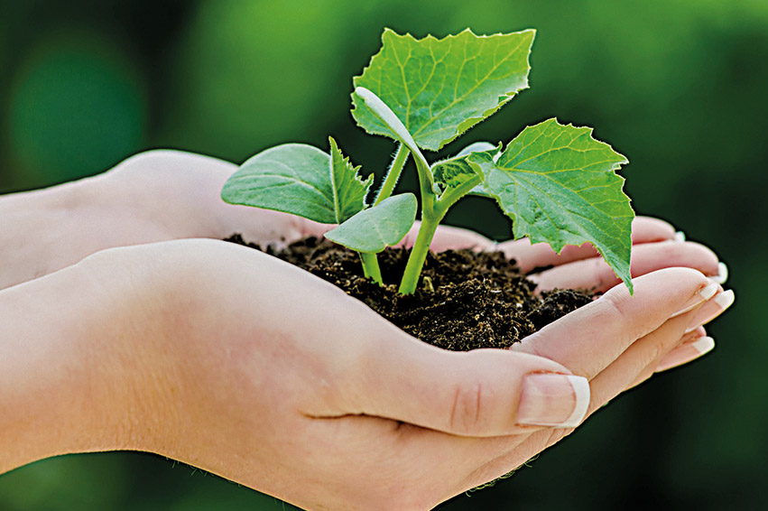 Fachpflegezentrum Paul-Fleming Haus GmbH - Pflege